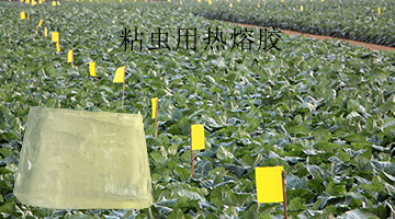 开元游戏大厅app·(中国集团)官方网站